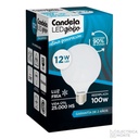 Lampara Globo 12w Frio